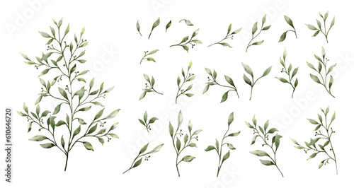 Set of watercolor botanical small leaves elements