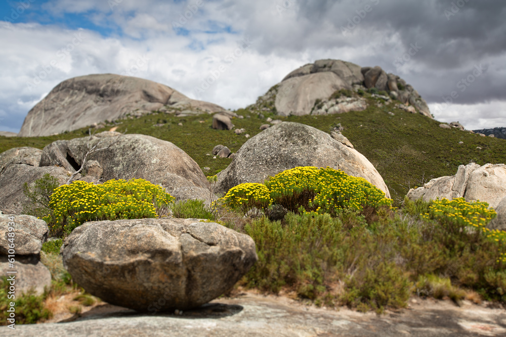 Granite boulders