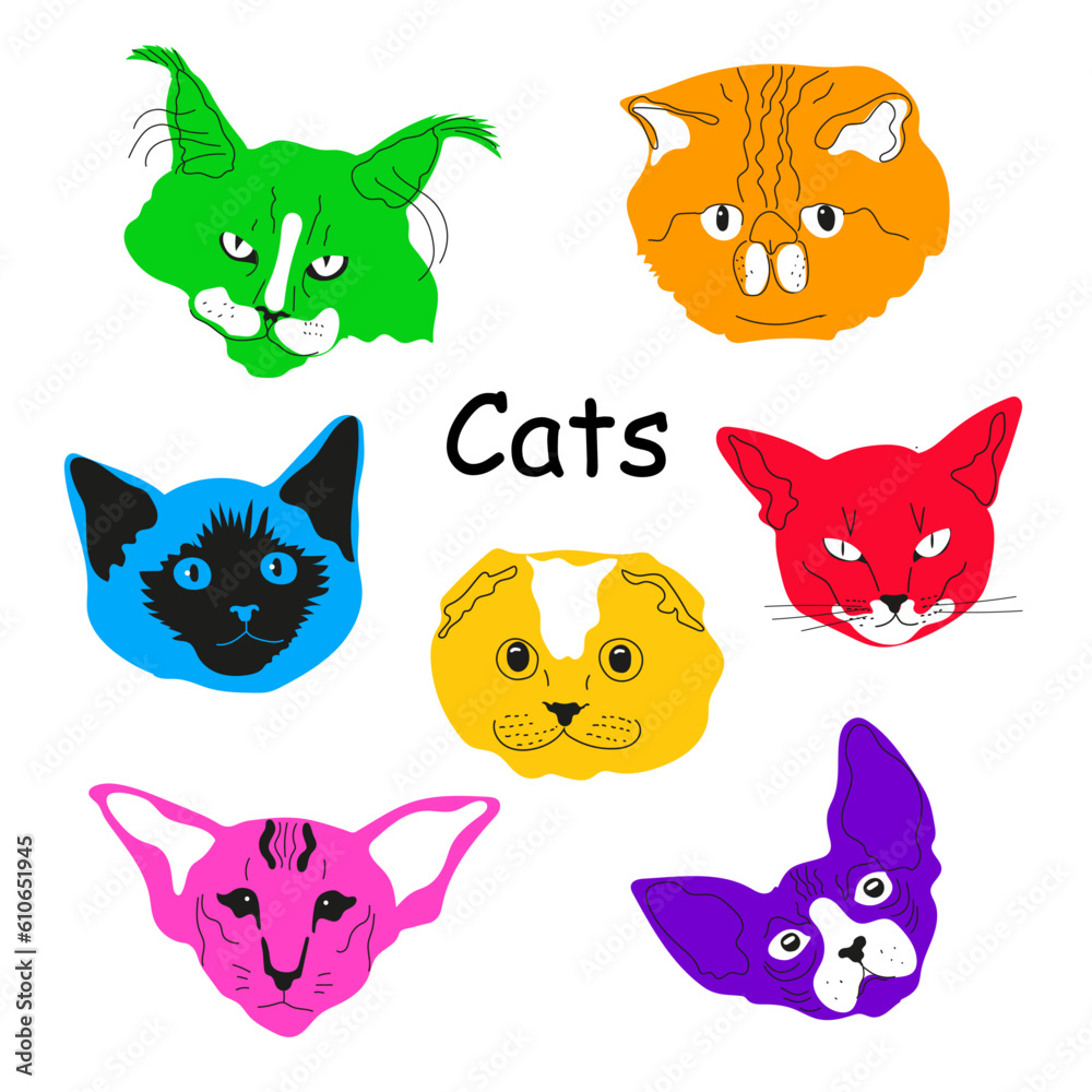 Portraits of different cats. Cute charming cats, different breeds. Cartoon style, abstract colors. Best friends, animal care concept. Hand drawn vector illustration. Each head is isolated