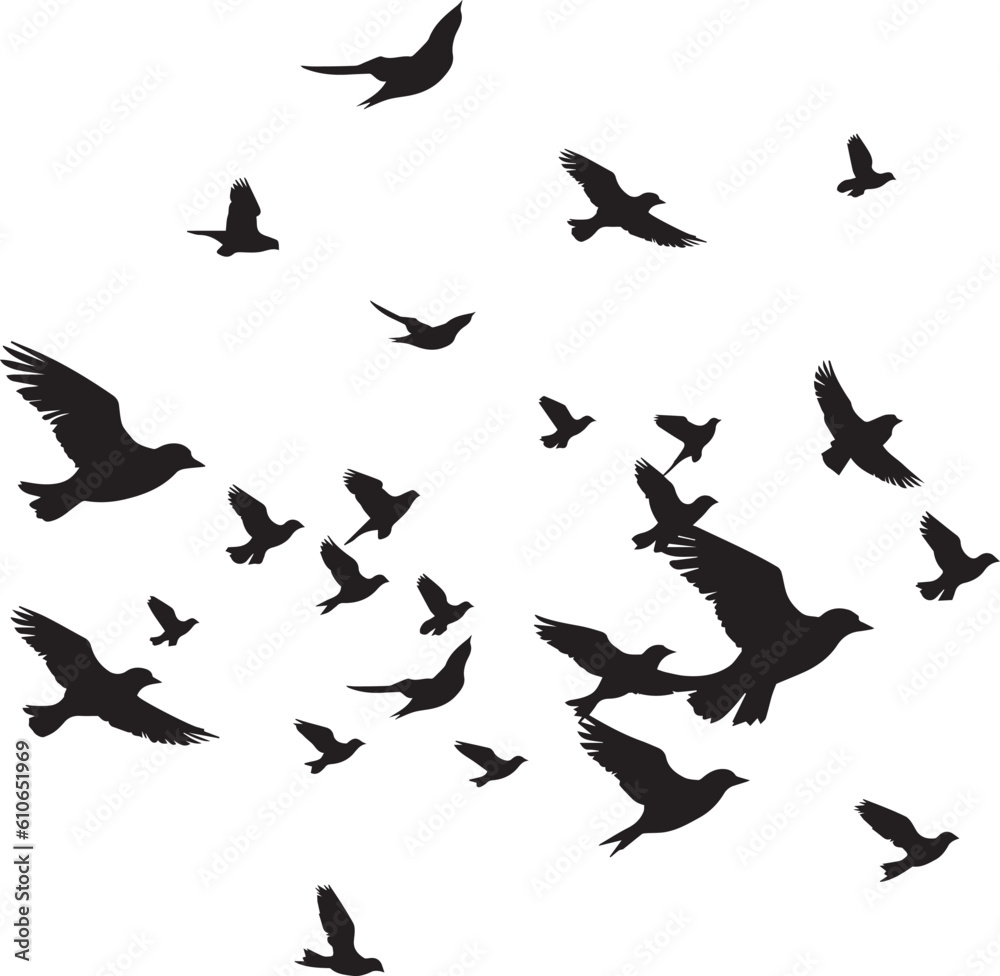 Black vector flying birds flock silhouettes isolated on white background