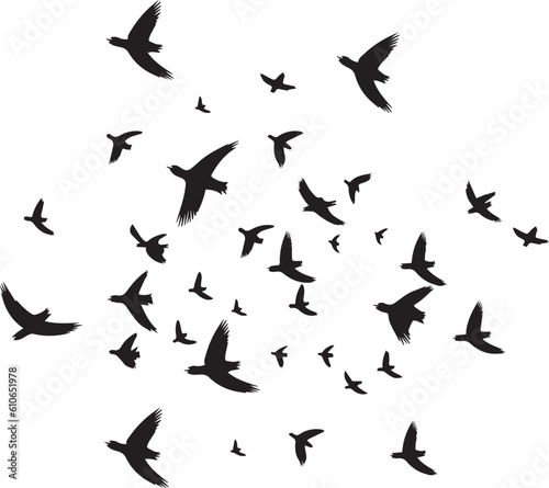 Black vector flying birds flock silhouettes isolated on white background © Pixzot