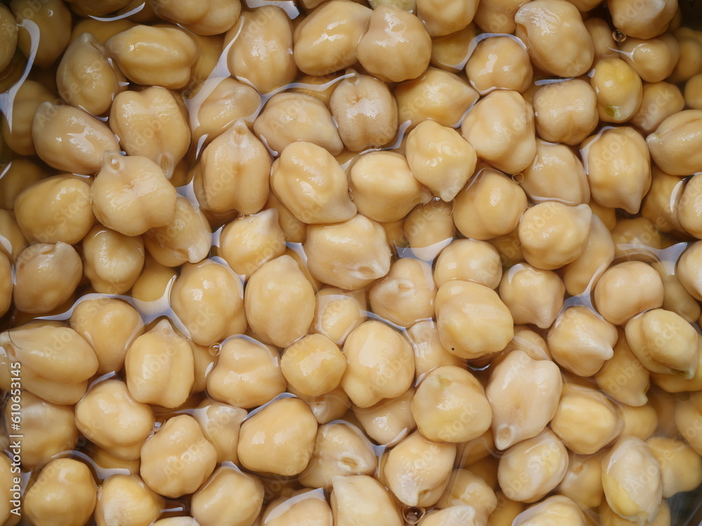 soaked chickpeas , close up shot of water absorbed garbanzo soaked chickpeas , close up shot of water absorbed garbanzo