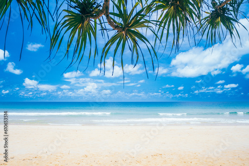 Fototapeta Naklejka Na Ścianę i Meble -  Tropical beach and coconut palm tree with blue sky background.