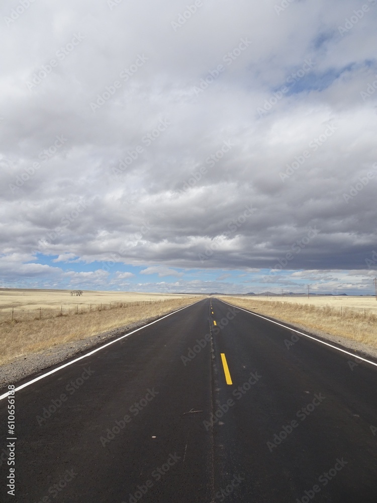 Naklejka premium New Mexico, Usa