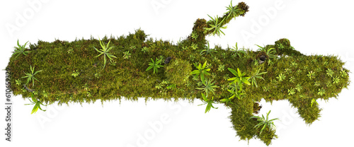 Top view of mossy trunk © Matheus