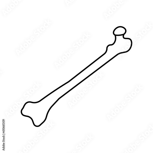 Bone, anatomy flat line icon. Human bone.