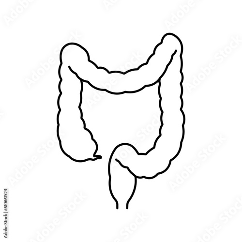 Intestine, anatomy flat line icon. Human Intestine