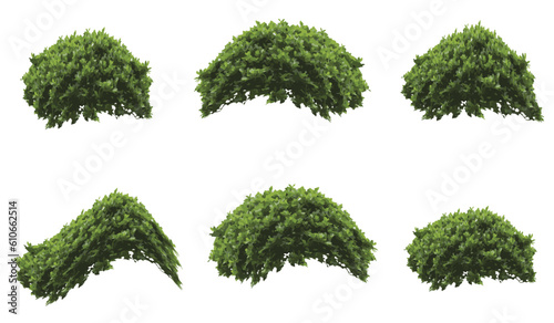 set of bush grass shrub illustration vector transparent background eps 10