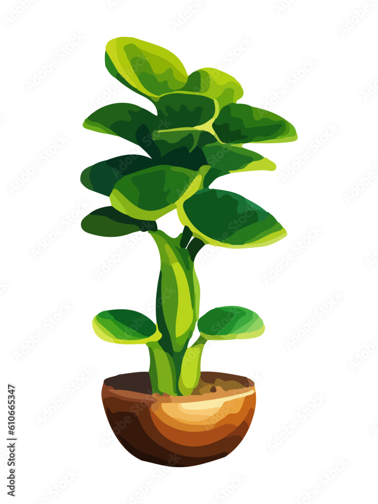 Realistic house plat with monstera sansevieria banana palm ficus and rhopalostylis in pot on transparent background. Realistic house plat with monstera sansevieria banana palm ficus and rhopalostylis in pot on transparent background.