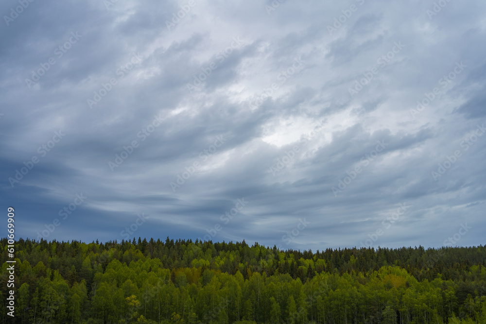 Cloudy sky over the forest in summer. Finland.