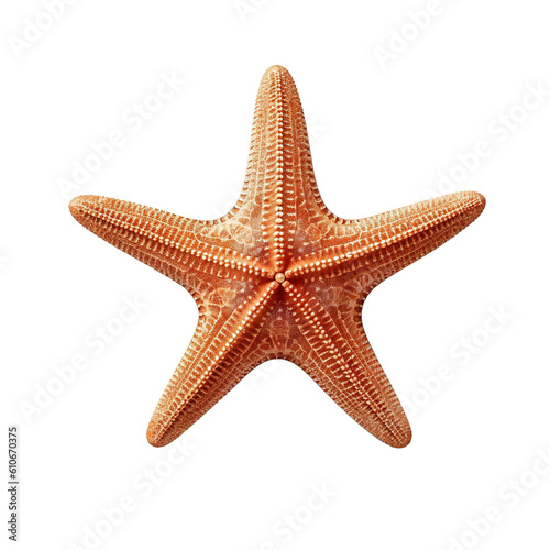 orange starfish isolated on white background  generative ai 