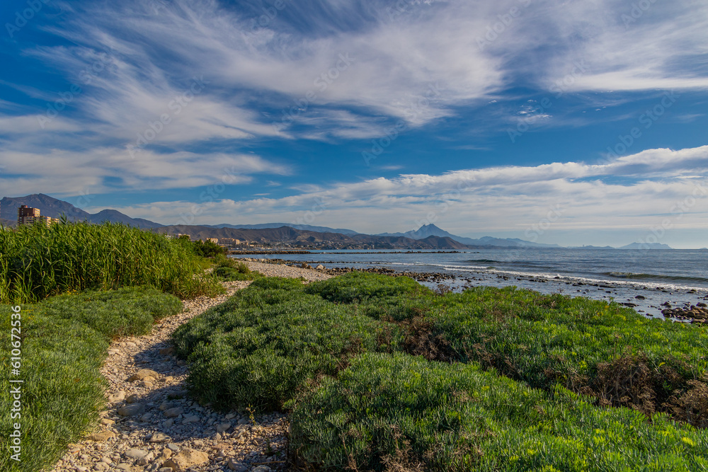 sea shore on a warm sunny day with vegetation and a path