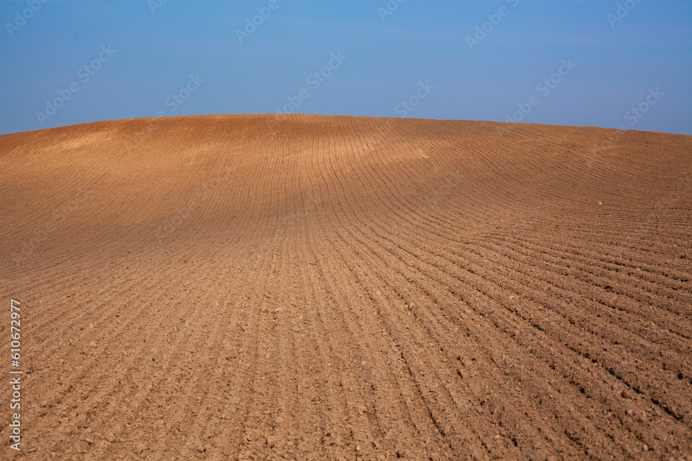 Naklejka premium Rural landscape. Row plowed field with cereals sown or prepared field for planting against blue sky. Agricultural land.