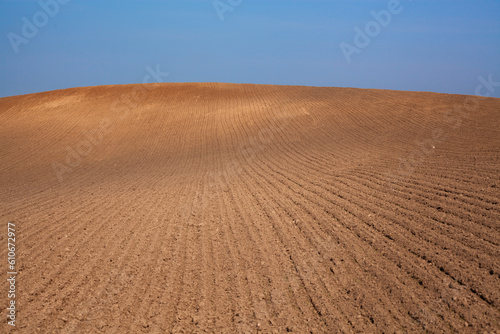 Rural landscape. Row plowed field with cereals sown or prepared field for planting against blue sky. Agricultural land.