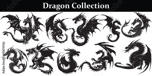 Black Dragon silhouette vector design 