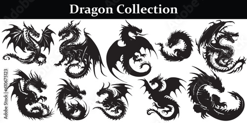 Black Dragon silhouette vector design 
