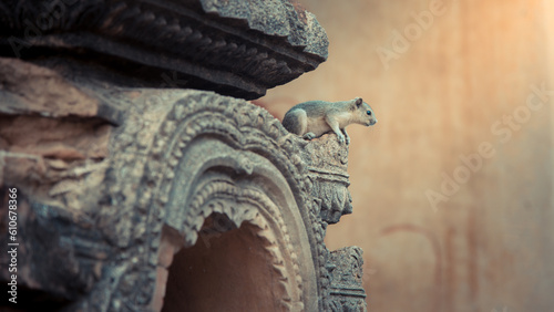 Visit the temple in Bagan, Myanmar