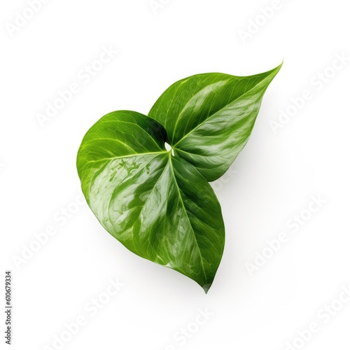 Pothos leaf isolated on white background. Generative AI