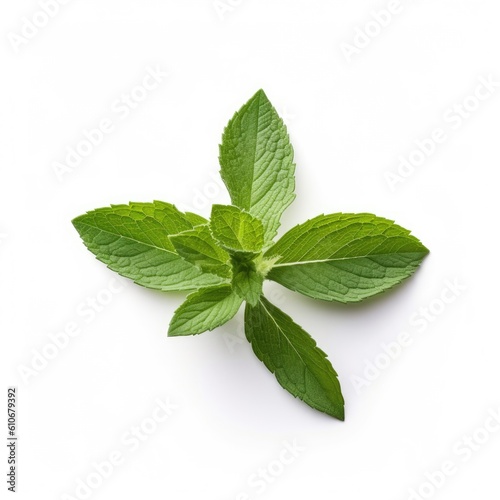 Stevia leaf isolated on white background. Generative AI