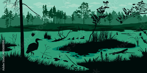 Horizontal swamp landscape. Marsh silhouette background with forest and birds. Pond outdoor panorama. River morning scene photo