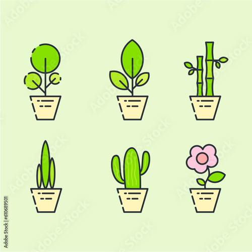 cactus set logoand icon photo