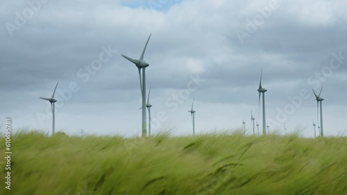 Wallpaper Mural Wind Turbines on a barley field in East Frisia on a windy summer day in 2023. Barley Field moving in the strong wind in the foreground. Dramatic sky. Torontodigital.ca