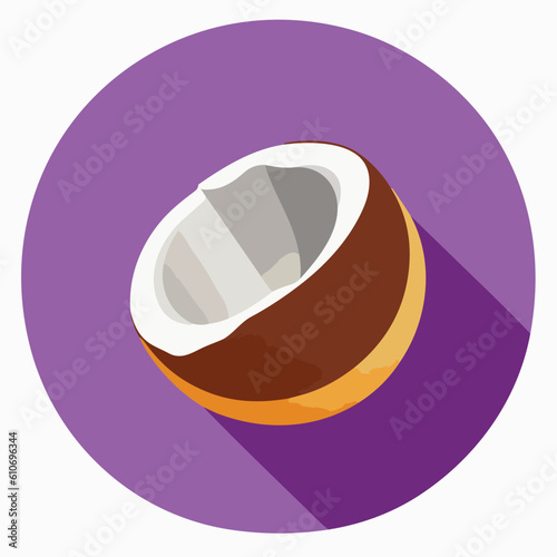 Vector illustration of fresh and juicy coconut