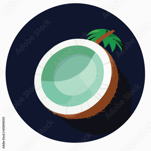 Vector illustration of fresh and juicy coconut