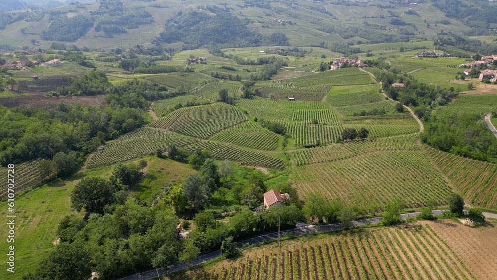 Italy , Oltrepo' Pavese , 
hills with vineyards for the production of wine, rows of vines   - Tuscan Apennines landscape view from the drone, tourist attraction sightseeing near Montalto Pavese Broni 