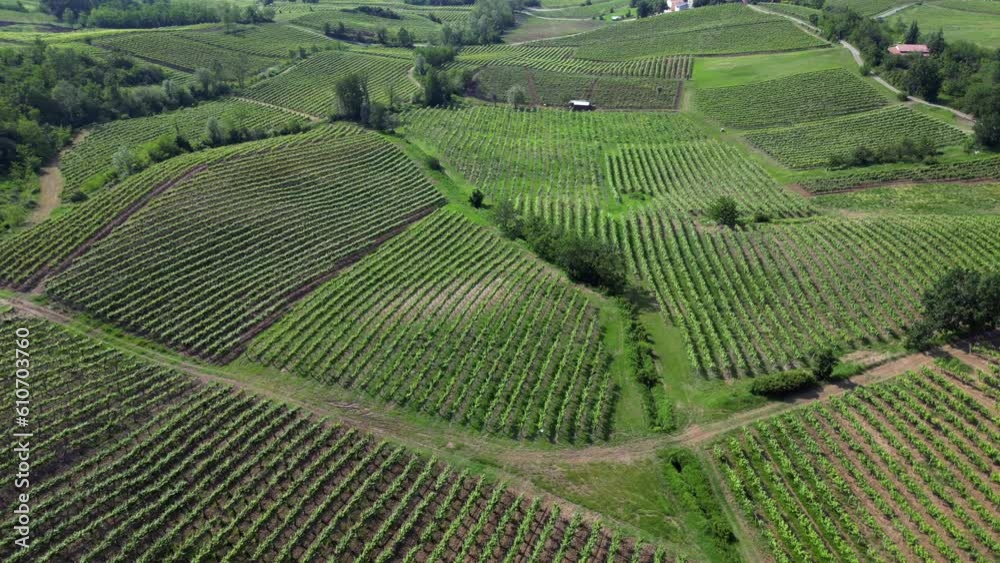 Italy , Oltrepo' Pavese ,
hills with vineyards for the production of wine, rows of vines - Tuscan Apennines landscape view from the drone, tourist attraction sightseeing near Montalto Pavese Broni Italy , Oltrepo' Pavese ,
hills with vineyards for the production of wine, rows of vines - Tuscan Apennines landscape view from the drone, tourist attraction sightseeing near Montalto Pavese Broni