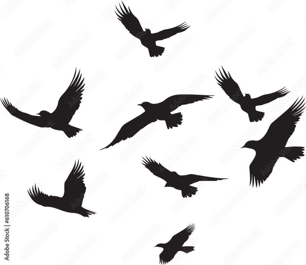 Fototapeta premium Black vector flying birds flock silhouettes isolated on white background