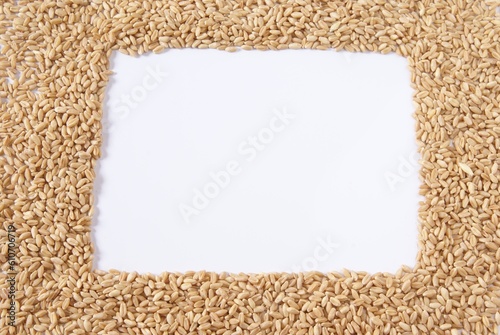 Whole Wheat Frame Background