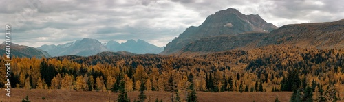 autumn in the mountains of Alberta