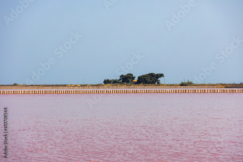 View over the pink salt pans of salt production near the town of Aigues-Mortes in the Camarque region of France