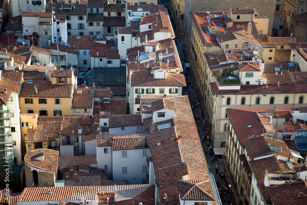 Overview of Florence city centre from the Campanille - Florence - Italy Overview of Florence city centre from the Campanille - Florence - Italy