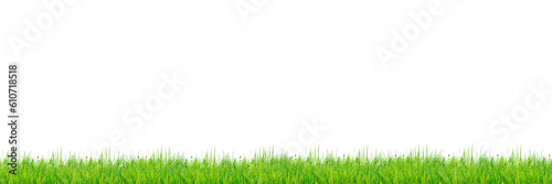 green grass on transparent background (png)