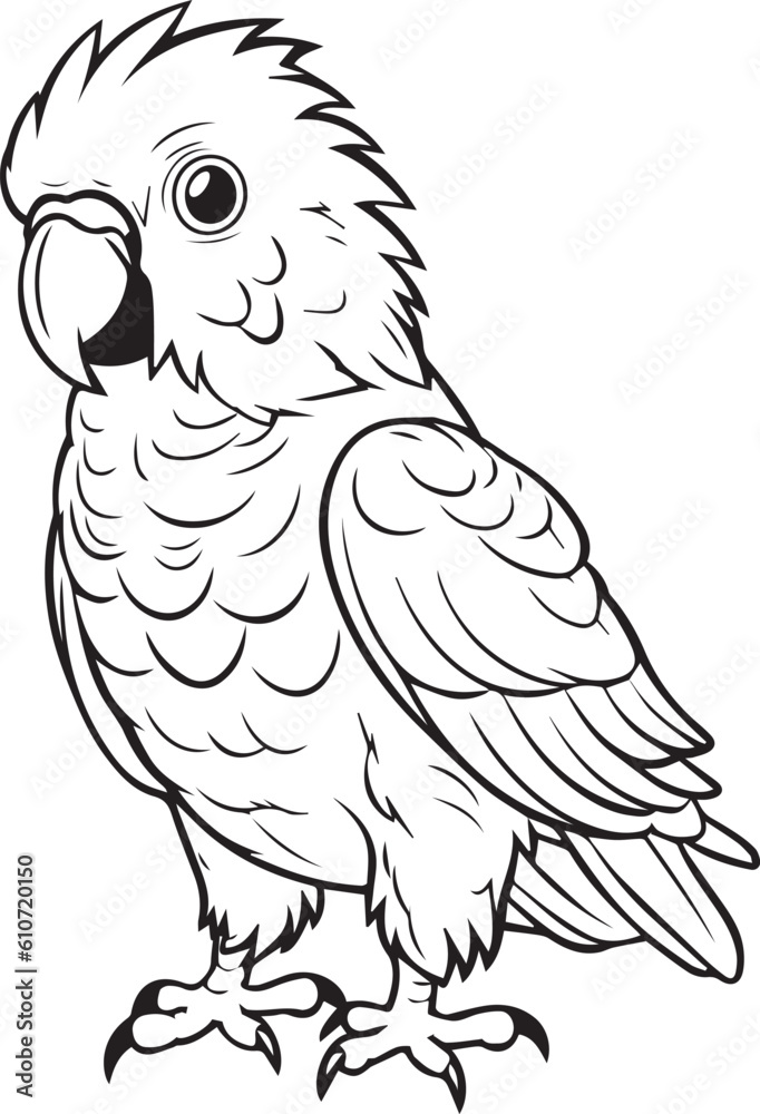 Parrot, colouring book for kids, vector illustration