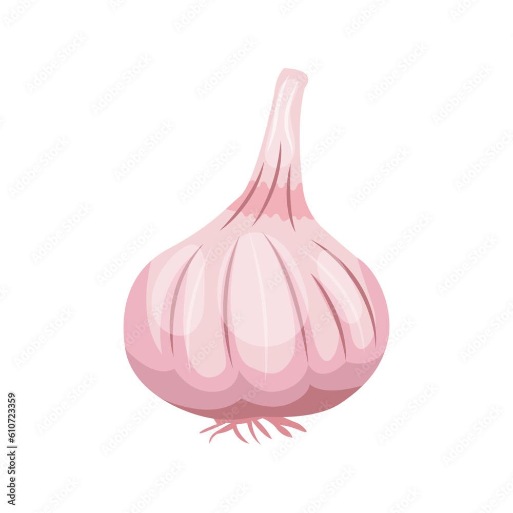 Garlic clove cartoon style vector illustration
