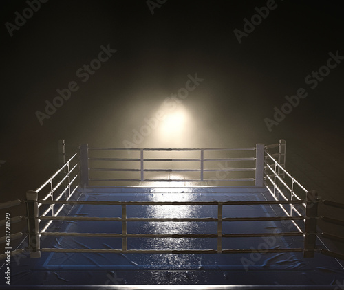 Modern Boxing Ring © alswart