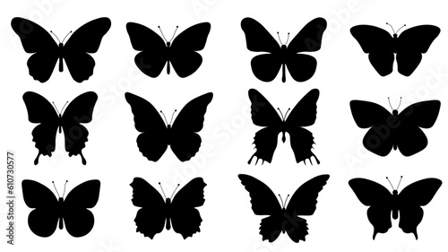 collection of butterflies set of butterflies silhouettes Flying Vector illustration	
