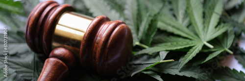 Foto Gavel of judge lying on green leaves of marijuana closeup