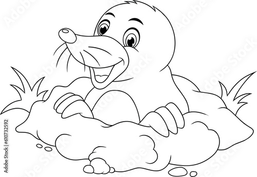 Animal coloring pages - Coloring book for kids