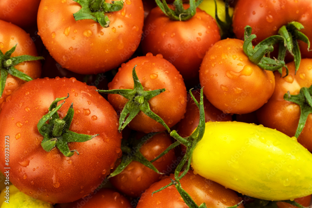 Ripe tomatoes and yellow tomatoes with drops of water, with green leaves, close-up. Ripe tomatoes and yellow tomatoes with drops of water, with green leaves, close-up.