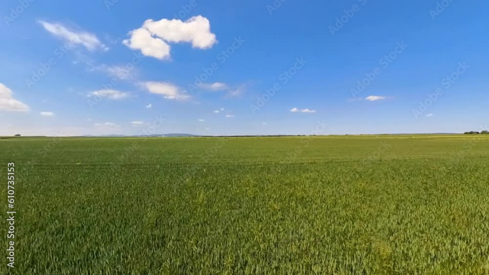 Panoramaansicht 360 Grad grünes Kornfeld mit Weg und blauem Himmel mit Wölkchen Panoramaansicht 360 Grad grünes Kornfeld mit Weg und blauem Himmel mit Wölkchen
