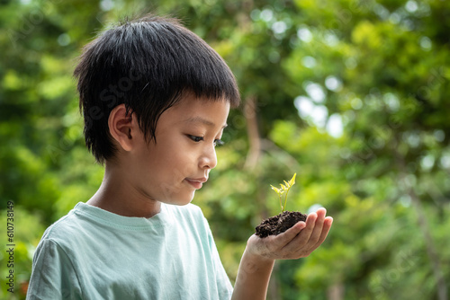 Canvas Print The little boy's hands are holding a small tree