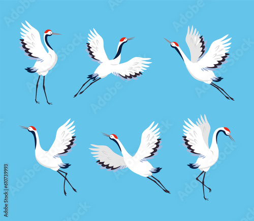 Red Crowned Crane as Long-legged and Long-necked Bird in Different Pose Vector Set