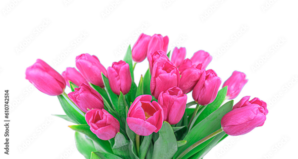 Bouquet of tulips isolated on a white background Bouquet of tulips isolated on a white background