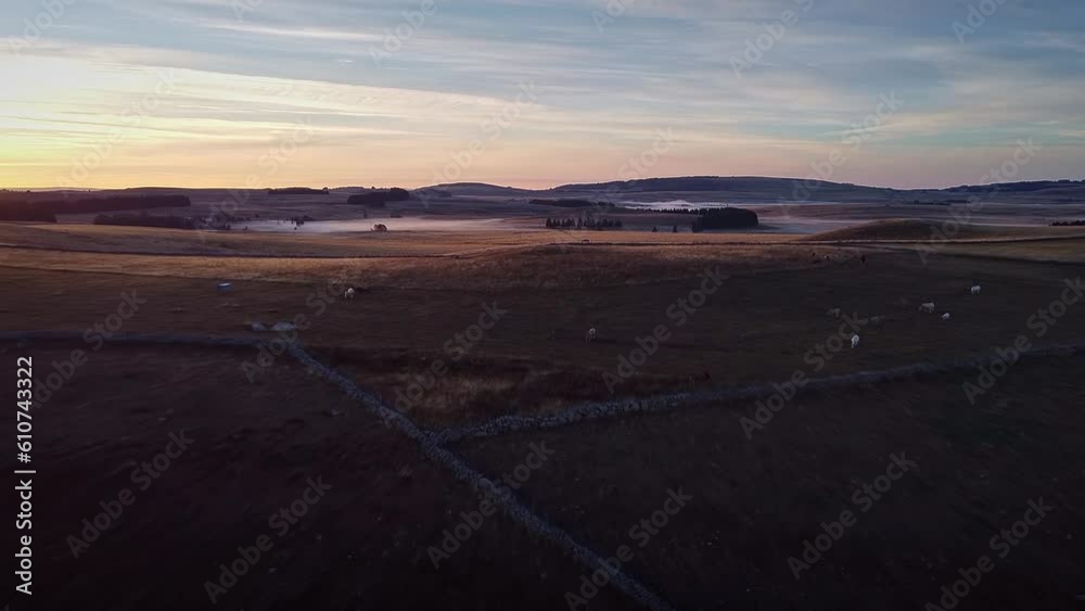 Vue en drone sur l'Aubrac lors d'un lever de soleil - Petit matin dans la brume avec un paysage typique du Massif Central dans la Lozère - Vallée avec pâturage et prairie (prés) Vue en drone sur l'Aubrac lors d'un lever de soleil - Petit matin dans la brume avec un paysage typique du Massif Central dans la Lozère - Vallée avec pâturage et prairie (prés)