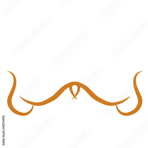 Golden Line Divider