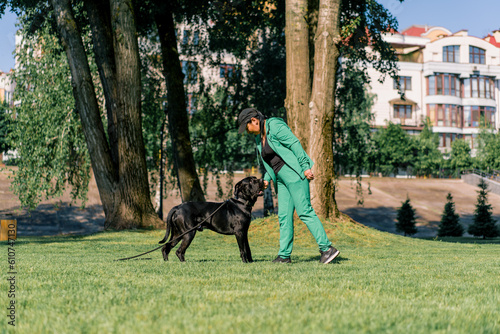 a dog psychologist stands next to a large black Cane Corso dog on a walk in the park and praises the dog